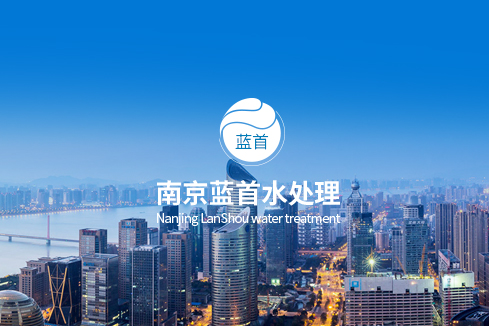 民丰建站-南京蓝首水处理设备有限公司