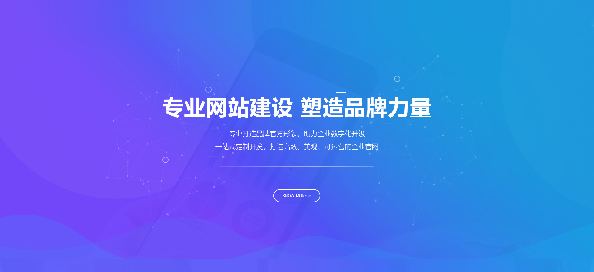 和安建站-专业网站建设 塑造品牌力量