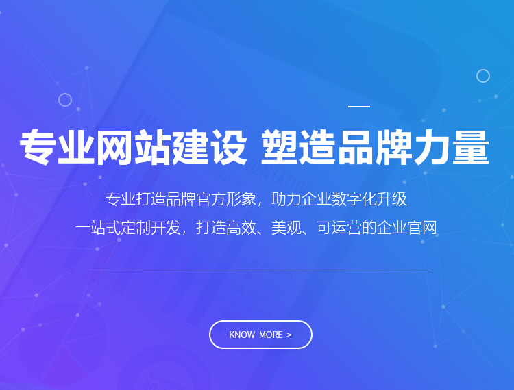 和安建站-专业网站建设 塑造品牌力量